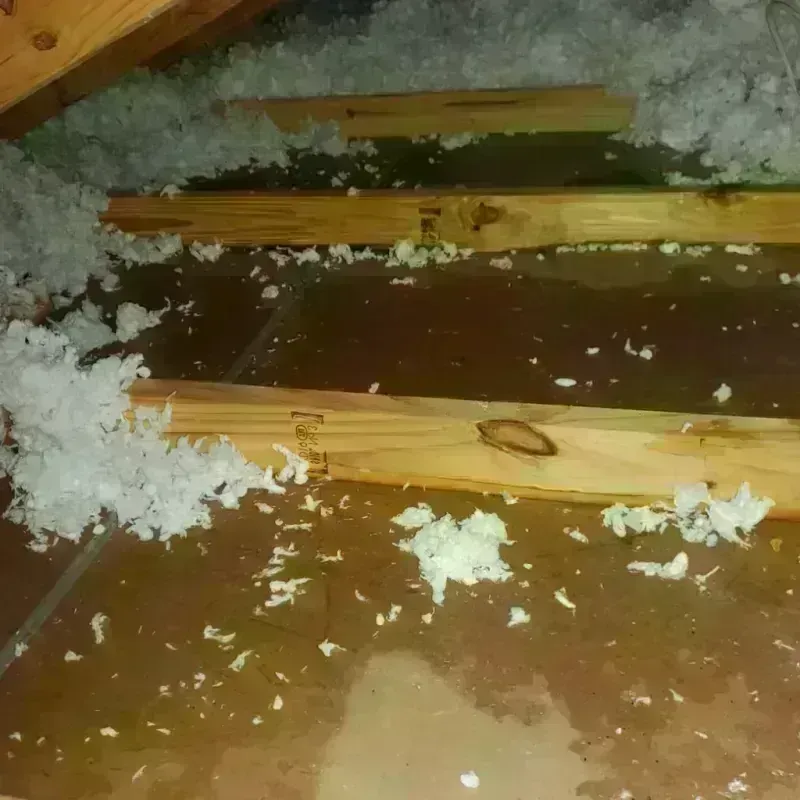 Attic Water Damage in Willow Springs, MO